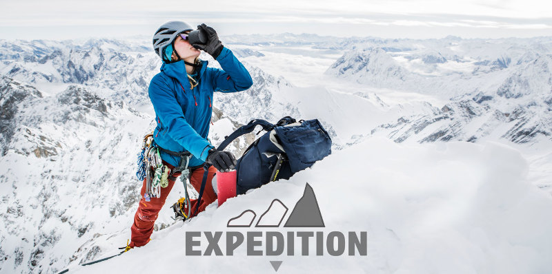 expedition (expedisön) = expedíció