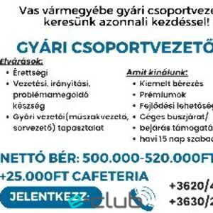 Gyári csoportvezetőt keresünk Vas vármegyébe!